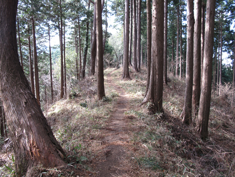 20161229hike (120)
